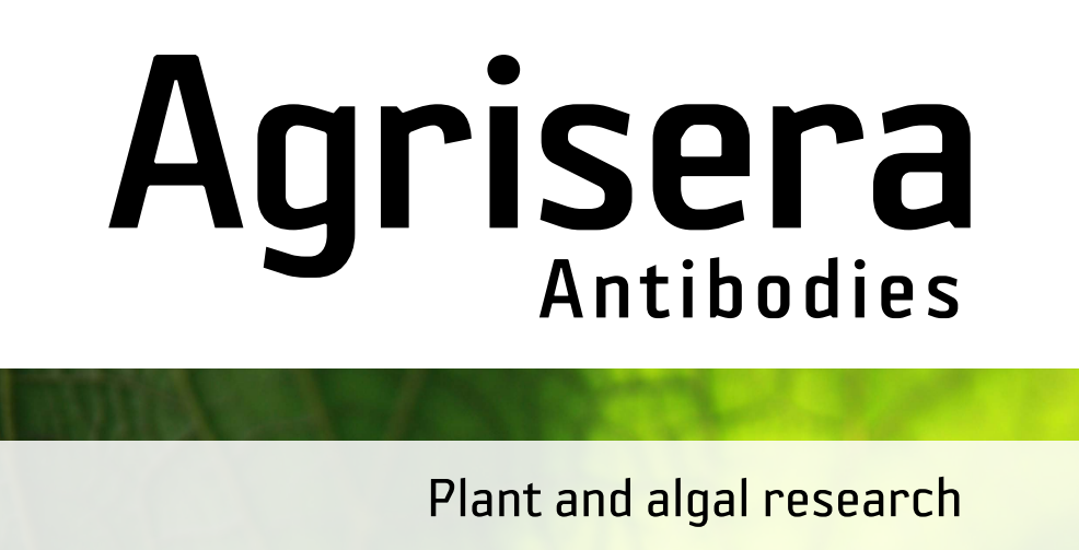 Agrisera MicroRNA相關研究植物蛋白抗體火熱促銷中！